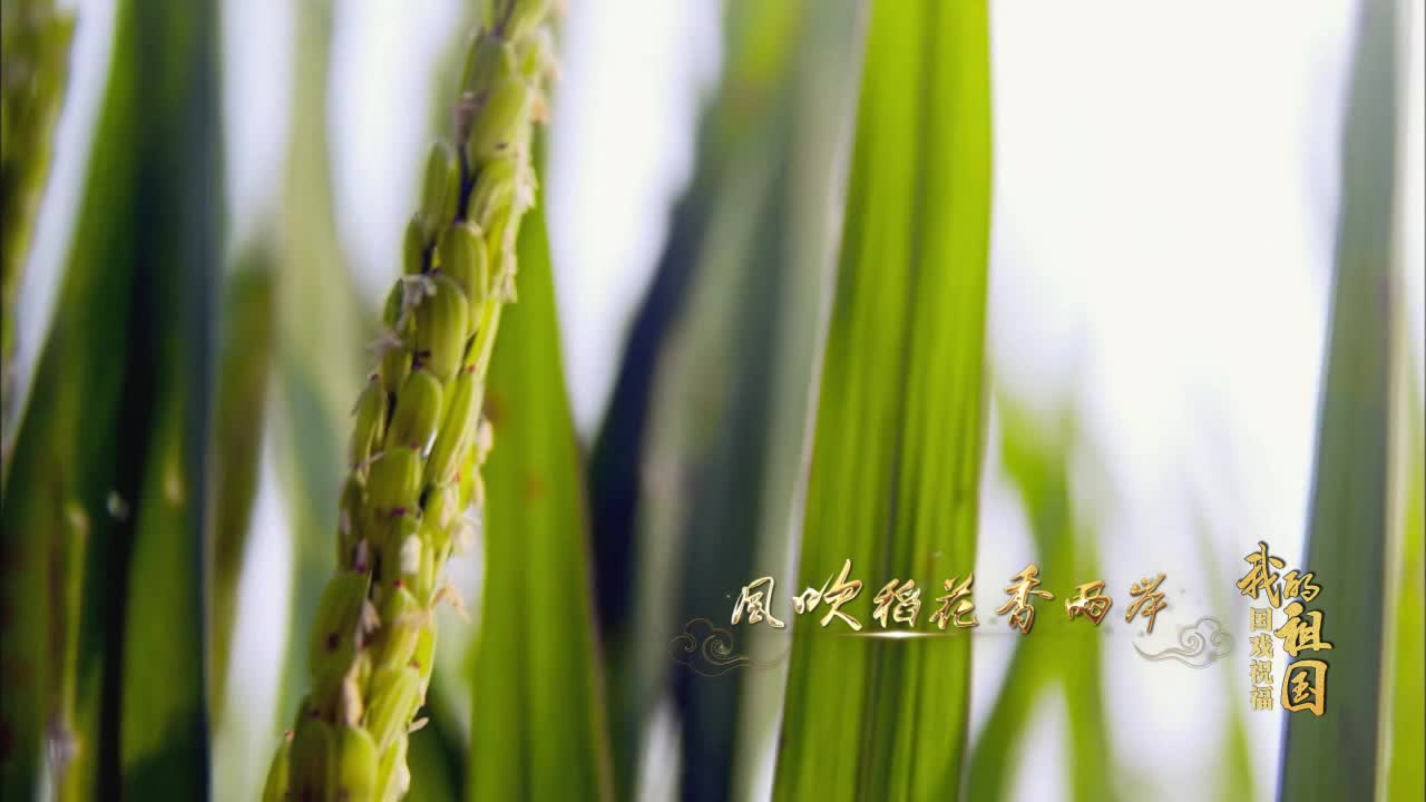乐透体育研究生处
